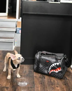 3AM PET CARRIER