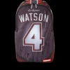 NFL DESHAUN WATSON BACKPACK