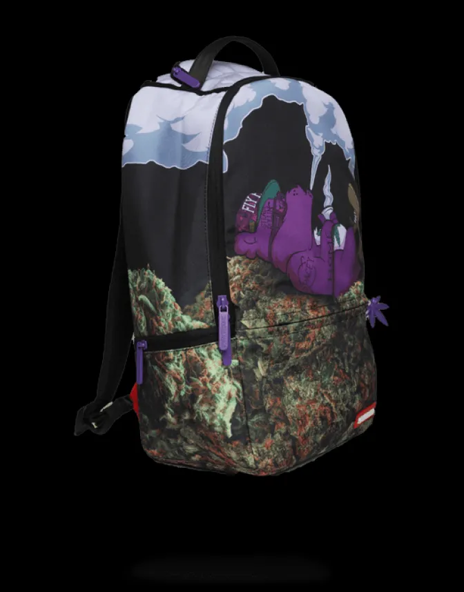 PURPLE HAZE GANJA BEAR