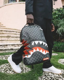 SHARK BITE SHARKS IN PARIS GRAY BACKPACK (DLXV)