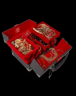 SPRAYGATTI REVV JEWELRY CASE