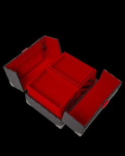 SPRAYGATTI REVV JEWELRY CASE