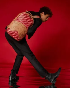 THE 3DSG CONCORDE BACKPACK