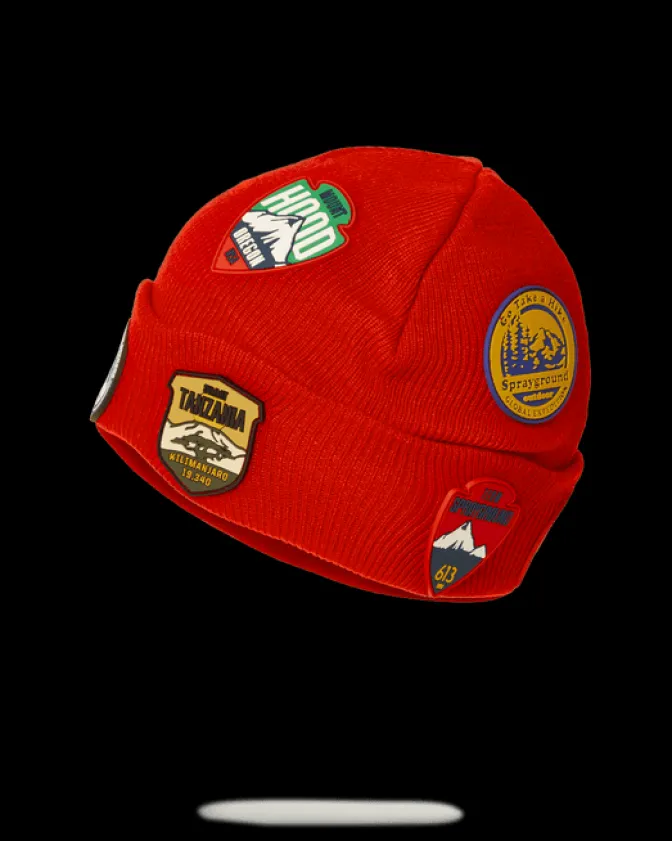 THE GLOBAL EXPEDITION BEANIE