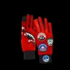 THE GLOBAL EXPEDITION GLOVES