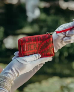 VENI VIDI VICI WALLET